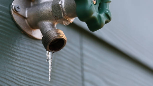Best Local Plumber Services  in Rural Hall, NC